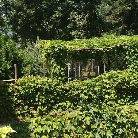 Fattoria Sequoia-3